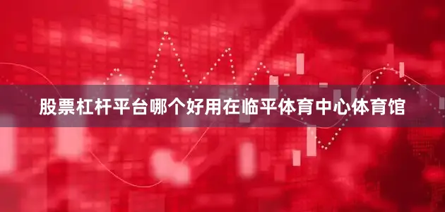 股票杠杆平台哪个好用在临平体育中心体育馆