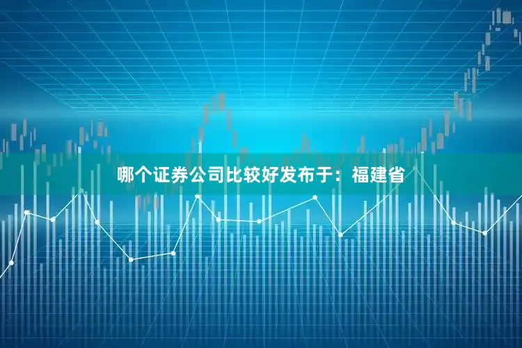 哪个证券公司比较好发布于：福建省